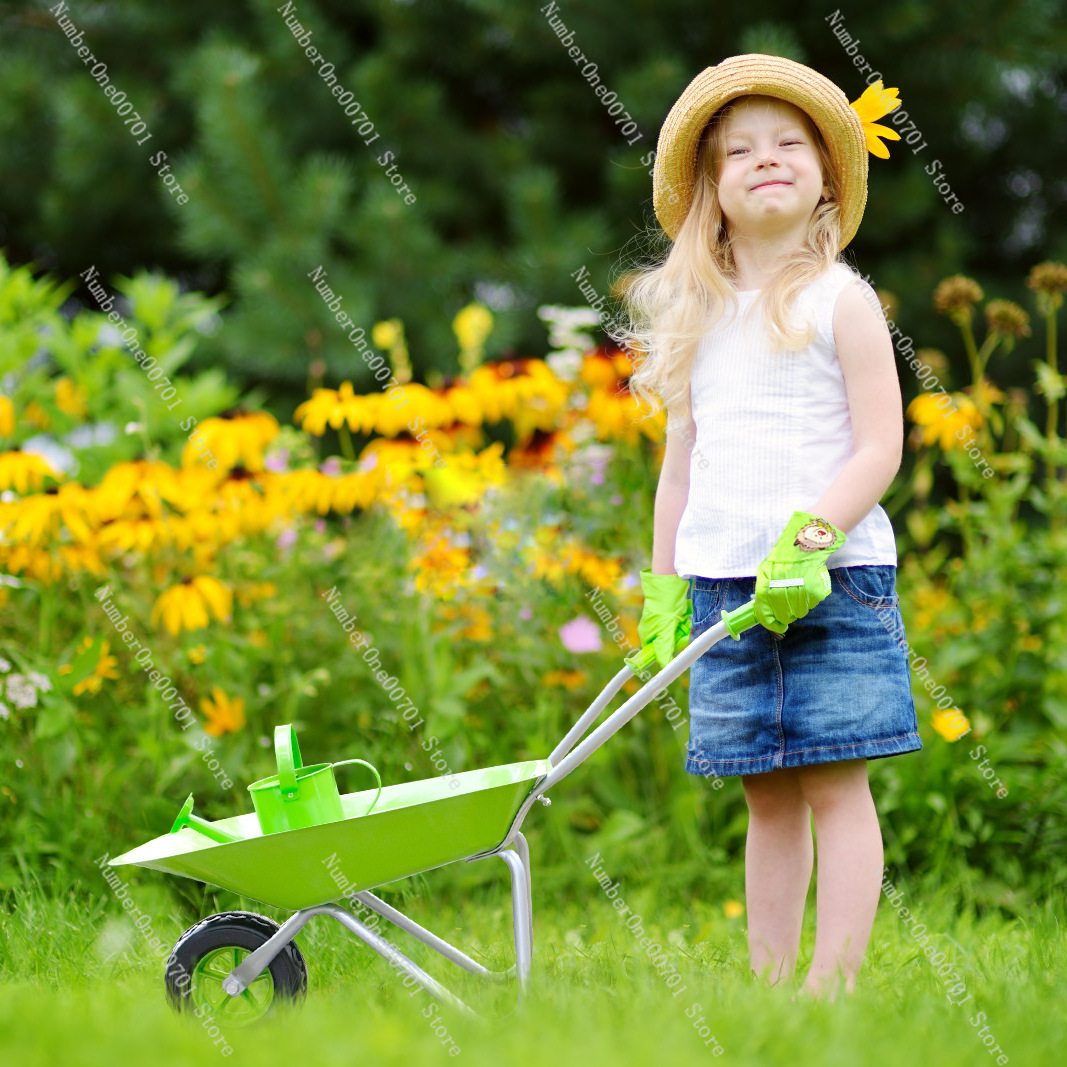 Kids Outdoor Wheelbarrow, Gree - Kids Outdoor Activity Set のレビューと価格
